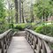 Foot Bridge at Allegheny
