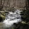Laurel Run Park, Church Hill, TN