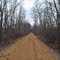 Wildwood Trail