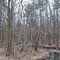On the Wildwood Trail