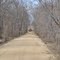 Wildwood Trail