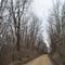 Wildwood Trail, St. Croix Co., WI
