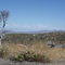 Mt Laguna view