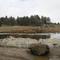 A pond near big Laguna Lake