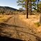 Fire road to Pine Mountain