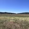 Laguna Meadows
