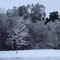Freezing rain - Ankeny