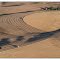 Palouse field (Colfax, WA.)  in August