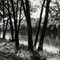 Kennebec River