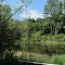A pond on Stockbridge High School Nature Trail