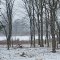 Jacobs Lake in winter