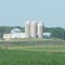 Dairy Farm