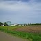 Brandon,MN