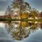 Reflection