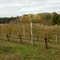 Laurita Winery