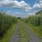 Bird Refuge
