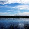 Montezuma Wildlife Refuge