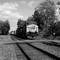 Fox Ridge Train
