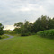 Tall Corn on Path to Bike Trail