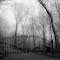 Foggy Path