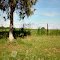 Green Pasture