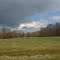 Corn field