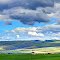 Scenic farm view by I-84 West in Pendleton, Oregon