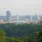 View of the City of Pittsburgh: from the top of Mt. Troy