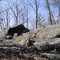 Stone tent