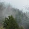 Why they call it the Smokys-Tennessee