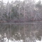 Corr pond