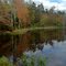 Harris Pond on Rt 250
