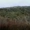 Cowiche Canyon, Cowiche, Washington