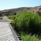 Cowiche Canyon