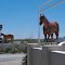 Both Plastic horses in front of Smith Brothers western wear