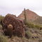 San Tan Mountainside