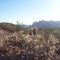 Santan park
