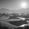 Mojave river forks.