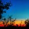 "Paint with all The Colors Of The Wind..."