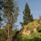 Hidden Scenery