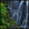 Black Hole of Calcutta Falls