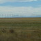 Wind Farm