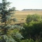 Deer Near Carr, CO