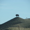 Verizon cellular bison