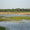 Marshlands