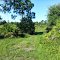 Wild Turkey Strand Preserve