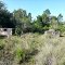 Wild Turkey Strand Preserve