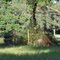 Old cemetery