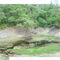 Sinkhole, Greens waterhole, Ocala National Forest, Florida (4-28-2007)