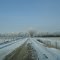 Winter Wonderland